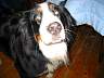 137-3729_IMG.jpg