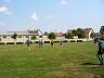 133-3302_IMG.jpg